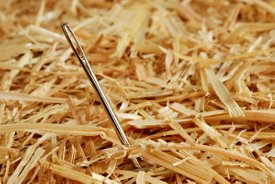 Needle in a haystack